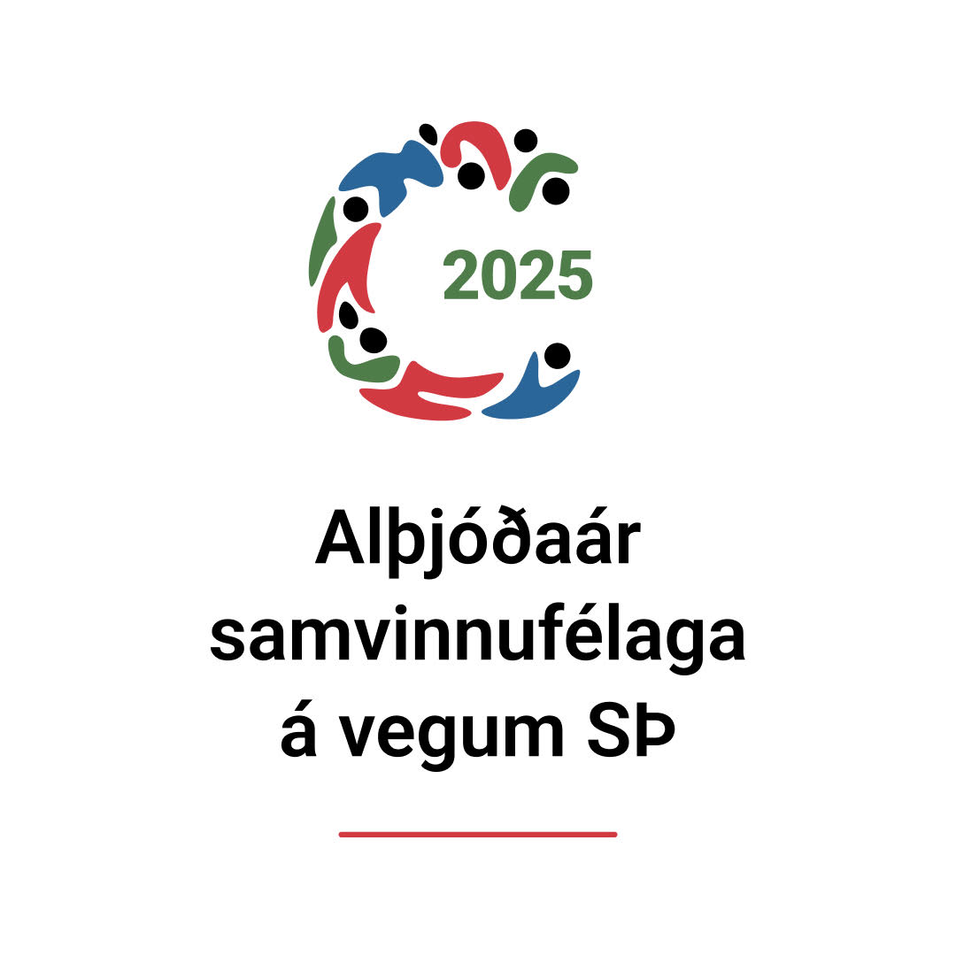 Alþjóðaárið 2025