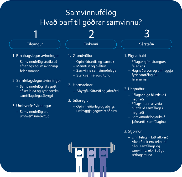 Hvað þarf til góðrar samvinnu.